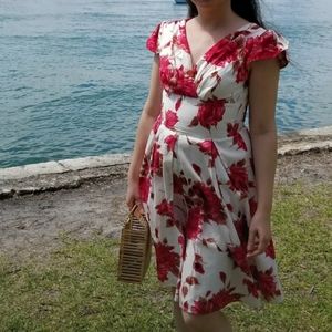 Rabbit Fit and Flare Dress